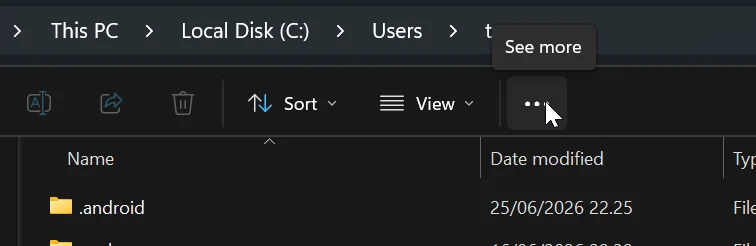 The See more button in the Explorer toolbar